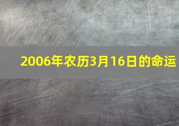 2006年农历3月16日的命运