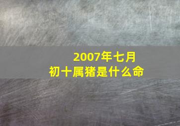 2007年七月初十属猪是什么命