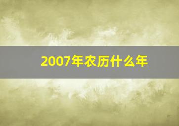 2007年农历什么年