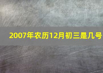 2007年农历12月初三是几号