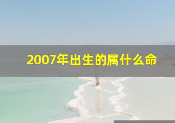 2007年出生的属什么命