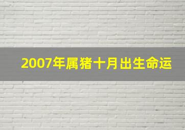 2007年属猪十月出生命运