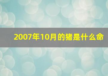 2007年10月的猪是什么命