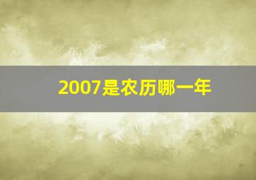 2007是农历哪一年