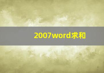 2007word求和