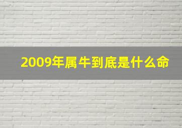 2009年属牛到底是什么命