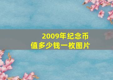 2009年纪念币值多少钱一枚图片