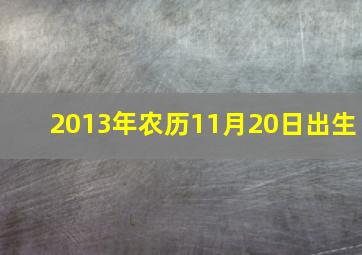 2013年农历11月20日出生