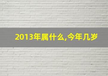 2013年属什么,今年几岁