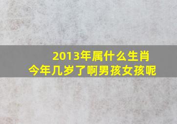 2013年属什么生肖今年几岁了啊男孩女孩呢