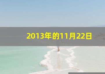 2013年的11月22日