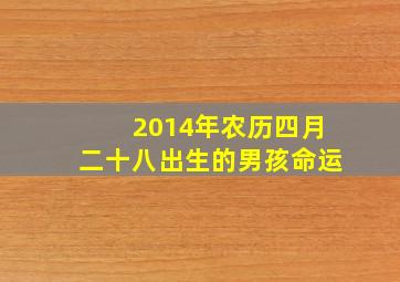 2014年农历四月二十八出生的男孩命运