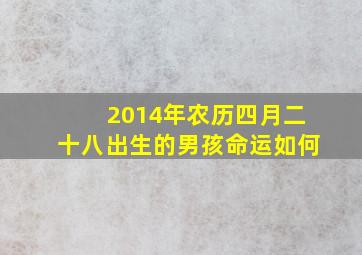 2014年农历四月二十八出生的男孩命运如何