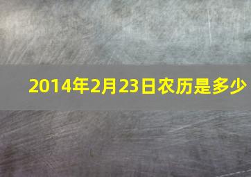 2014年2月23日农历是多少