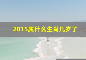 2015属什么生肖几岁了