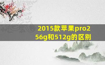 2015款苹果pro256g和512g的区别