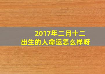 2017年二月十二出生的人命运怎么样呀