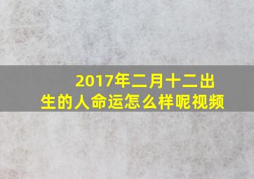 2017年二月十二出生的人命运怎么样呢视频