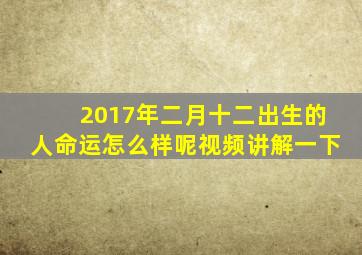 2017年二月十二出生的人命运怎么样呢视频讲解一下