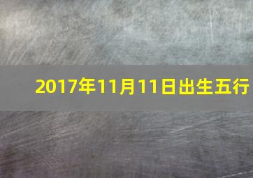 2017年11月11日出生五行