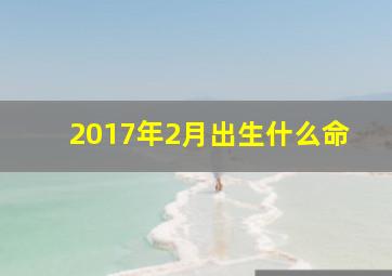 2017年2月出生什么命