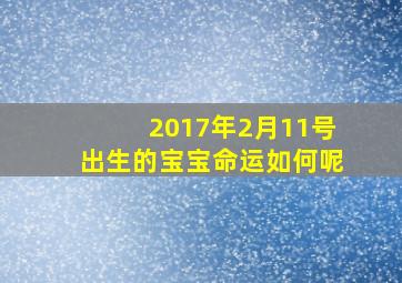 2017年2月11号出生的宝宝命运如何呢