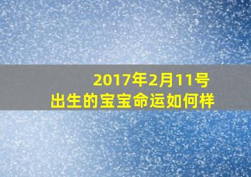 2017年2月11号出生的宝宝命运如何样