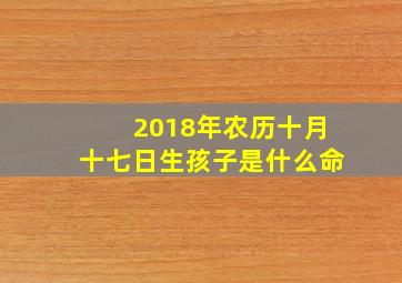 2018年农历十月十七日生孩子是什么命