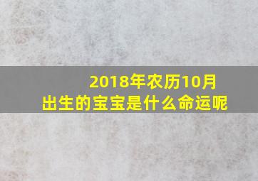 2018年农历10月出生的宝宝是什么命运呢