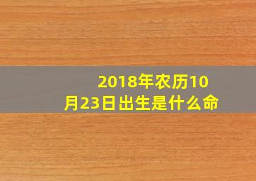 2018年农历10月23日出生是什么命