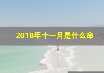 2018年十一月是什么命