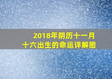 2018年阴历十一月十六出生的命运详解图