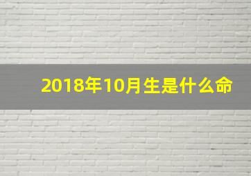 2018年10月生是什么命