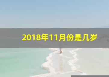 2018年11月份是几岁