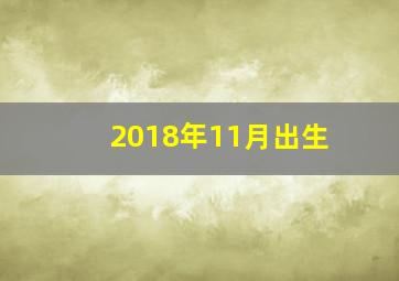 2018年11月出生