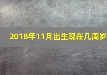 2018年11月出生现在几周岁