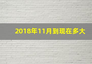 2018年11月到现在多大