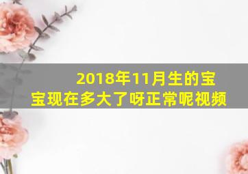 2018年11月生的宝宝现在多大了呀正常呢视频