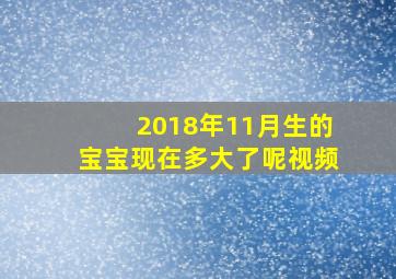 2018年11月生的宝宝现在多大了呢视频