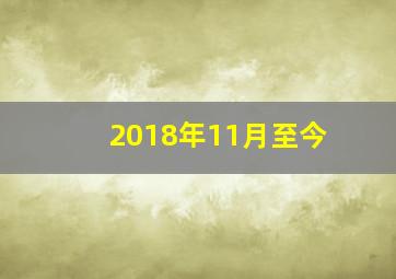 2018年11月至今