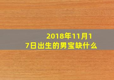 2018年11月17日出生的男宝缺什么