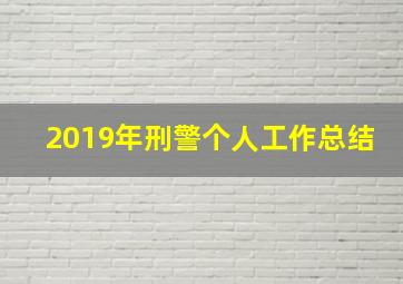 2019年刑警个人工作总结