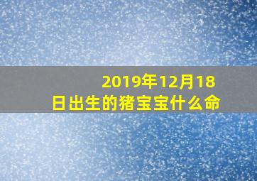 2019年12月18日出生的猪宝宝什么命