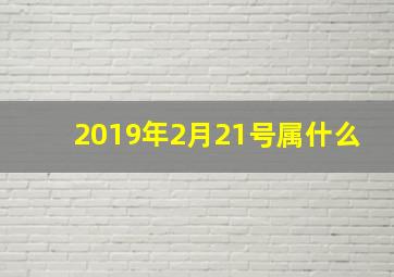 2019年2月21号属什么