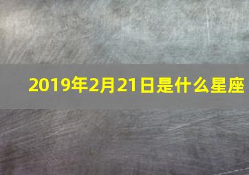 2019年2月21日是什么星座