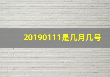 20190111是几月几号