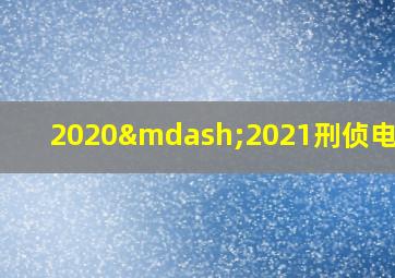 2020—2021刑侦电视剧