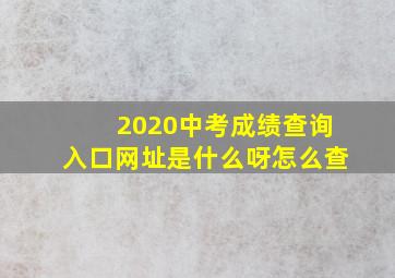 2020中考成绩查询入口网址是什么呀怎么查