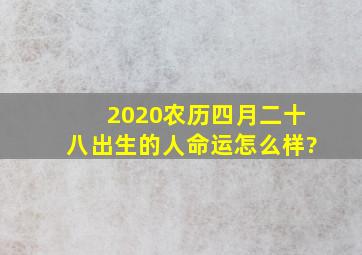 2020农历四月二十八出生的人命运怎么样?