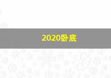 2020卧底